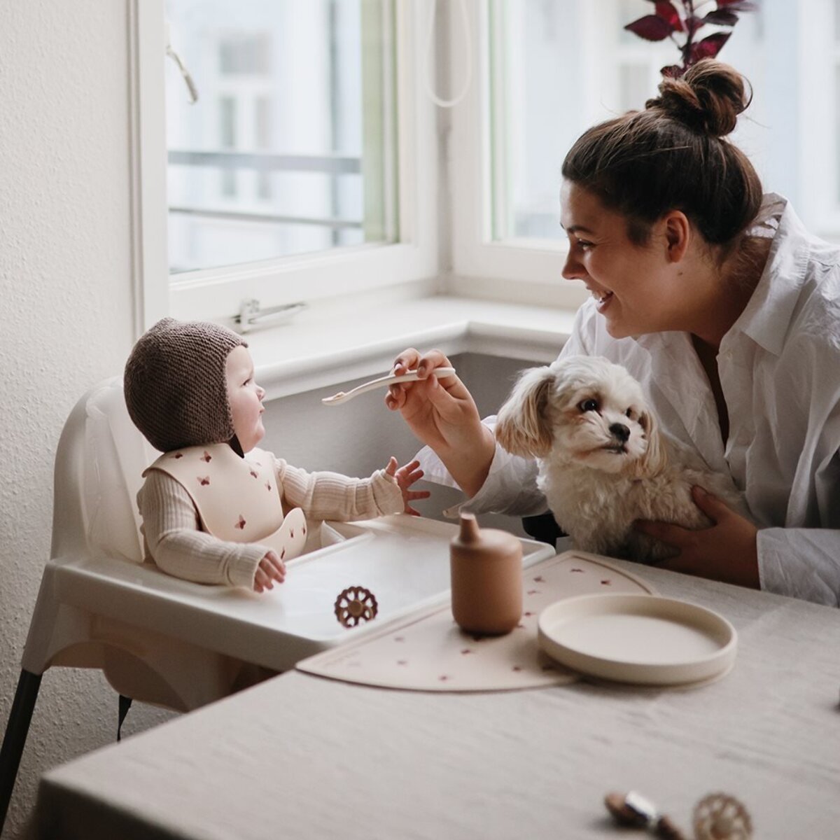 Mushie Plato Ventosa Clásico Solid