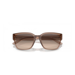 Gafas de sol Arnette Hombre AN4325-290613