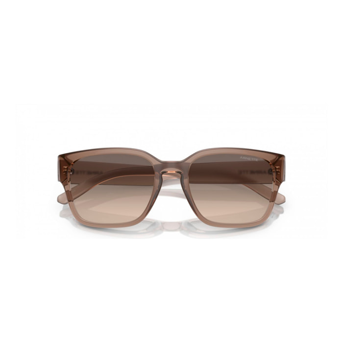 Gafas de sol Arnette Hombre AN4325-290613