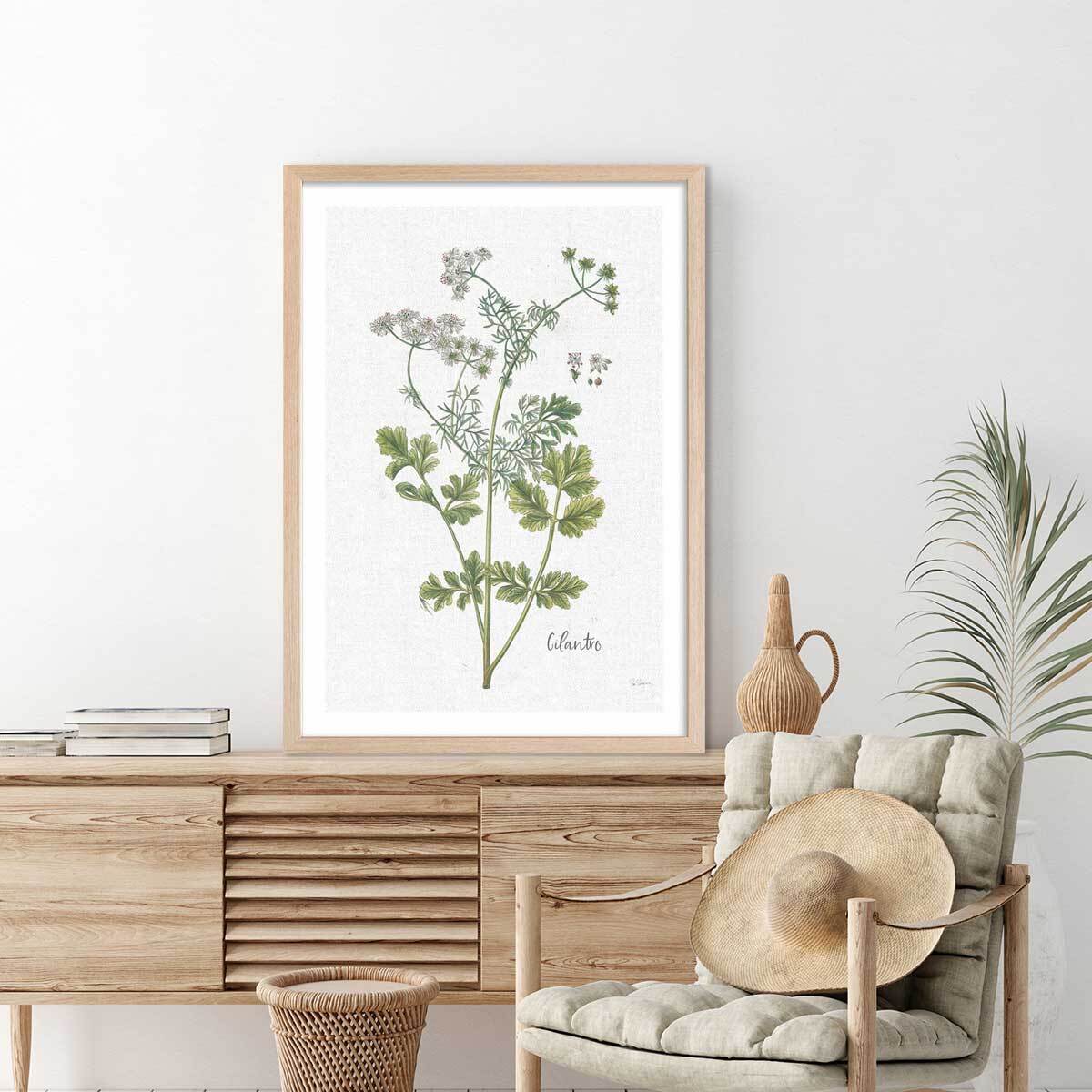 Affiche fleurs Coriandre dessinée Affiche + cadre en bois - Chêne