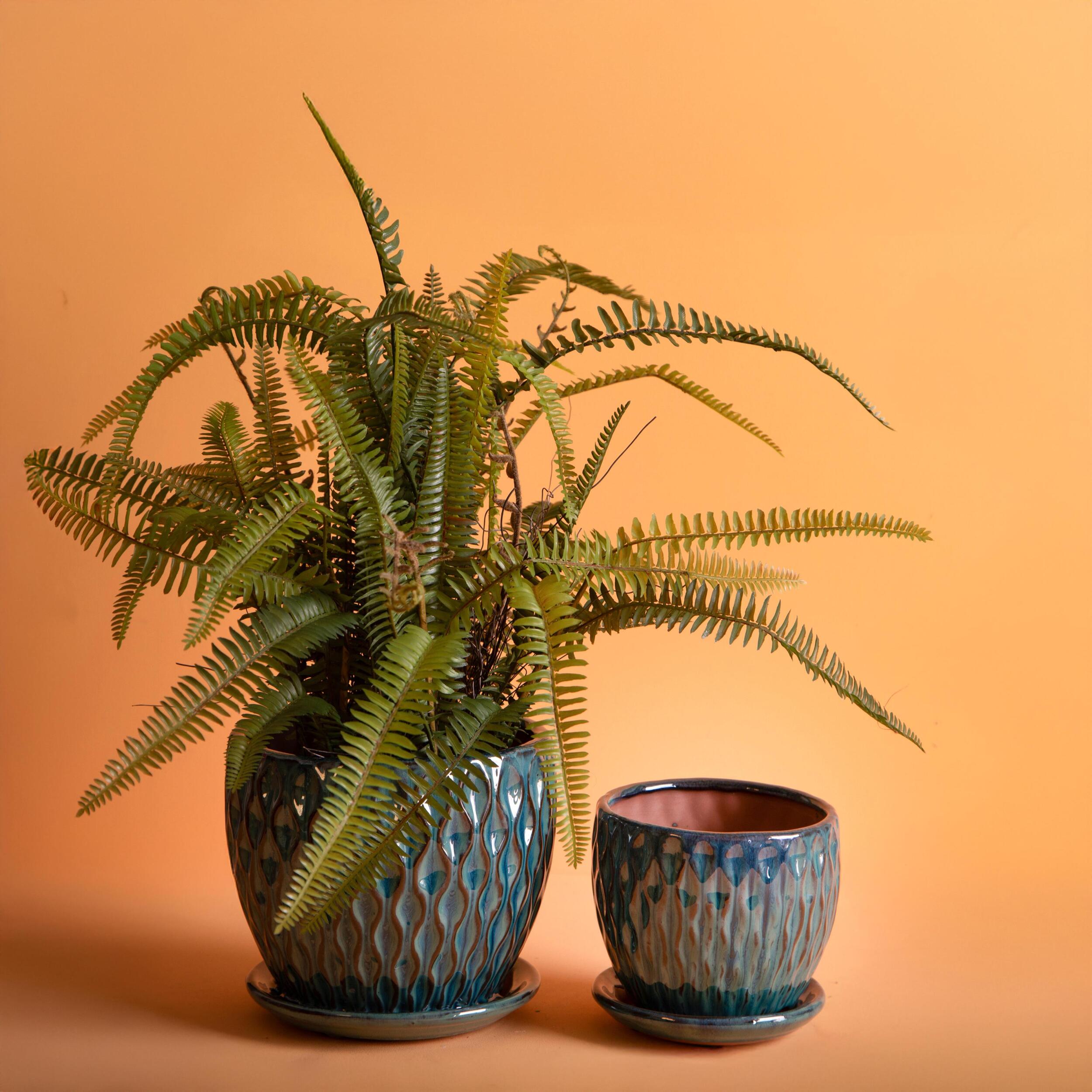 Set 2 cachepot damascato - Colore Verde - 55xH16,5x19cm - Bianchi Dino