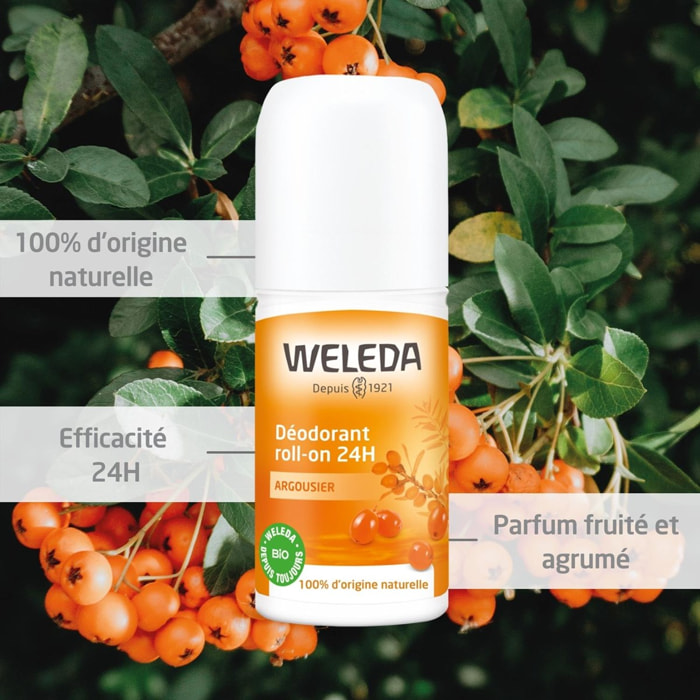 WELEDA - Déodorant roll-on 24H Argousier - 50 ml