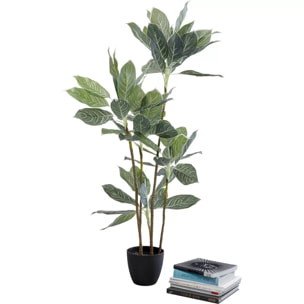 Plante décorative Calathea 140cm Kare Design