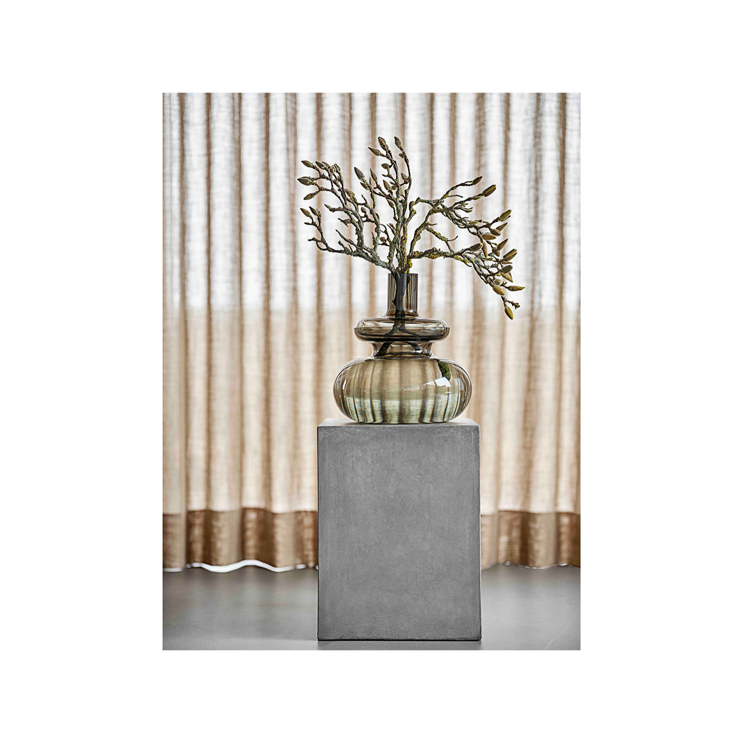 Vase Inu