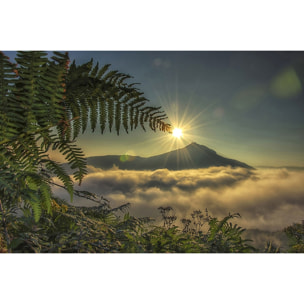 Tableau soleil sur la rhune Tableau alu Dibond