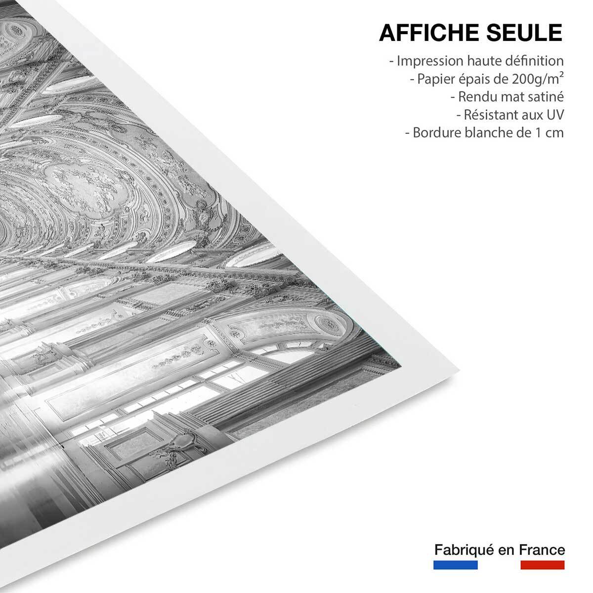 Affiche photo d'art galerie des glaces - Affiche seule