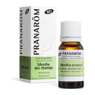 Pranarom - Huile Essentielle de Menthe des champs - Bio - 10 ml
