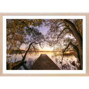 Affiche Au bout du lac, le saut Affiche + cadre en bois - Chêne