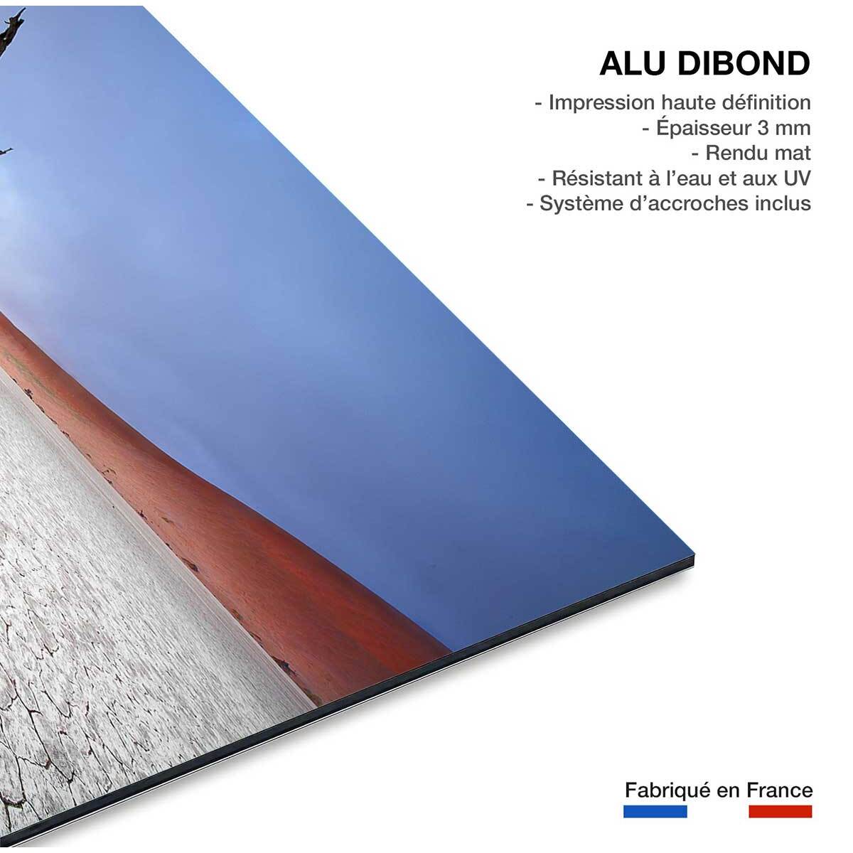 Tableau de Namibie, Le deadvlei Tableau alu Dibond