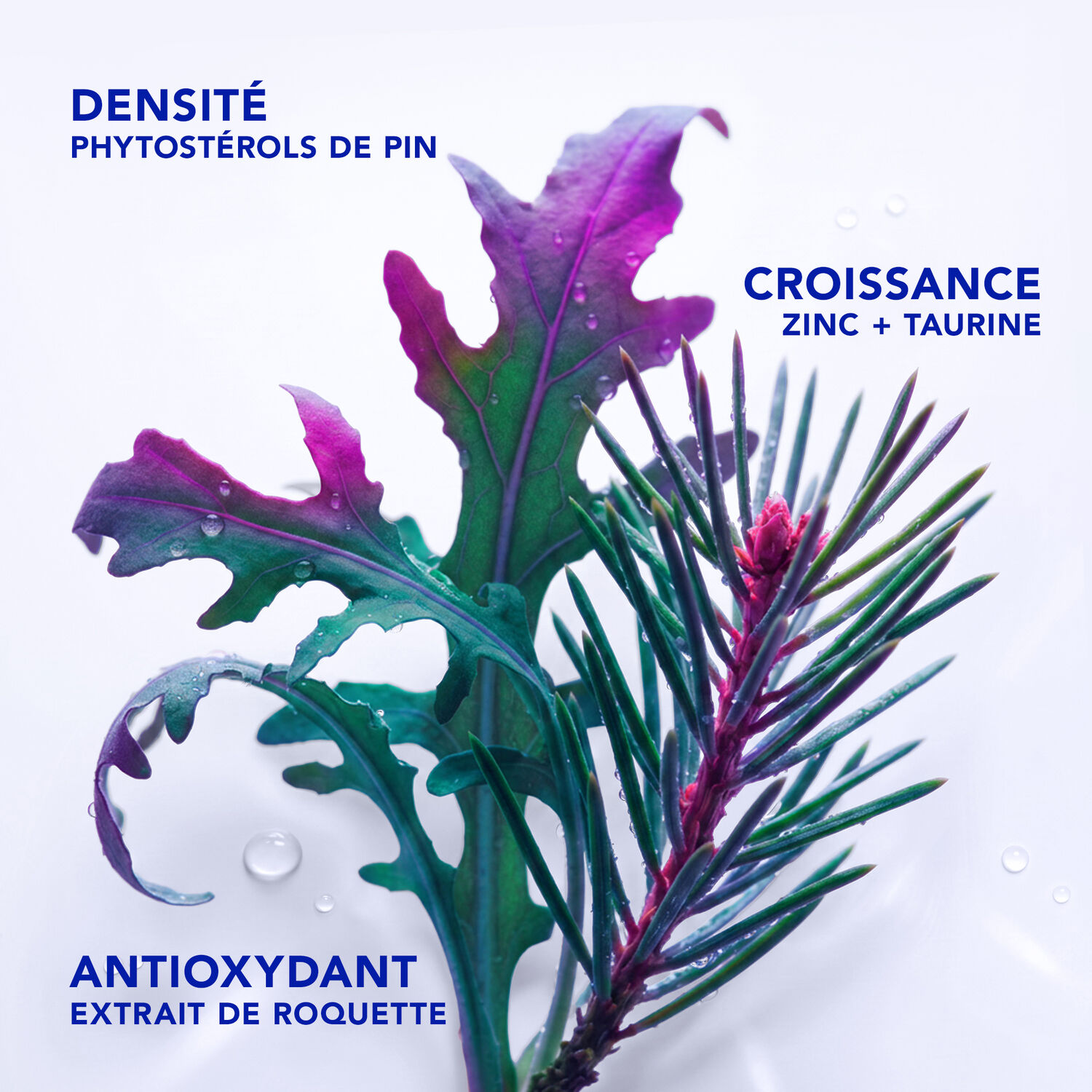 Phytocyane - Complément Alimentaire Chute de Cheveux - Pousse - Croissance - Densité - 3 mois
