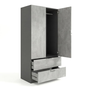 Armario de 2 puertas y 2 cajones en gris grafito y gris cemento 81,5x180 cm Lark Gris Grafito - Gris Cemento