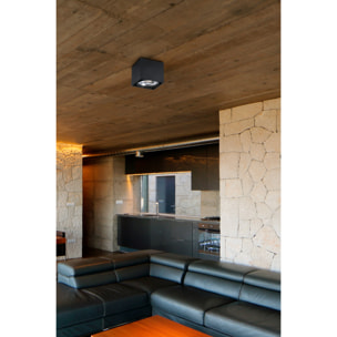 TECTO 1L AR111 Plafón negra