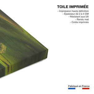 Tableau Colline UsA Toile imprimée