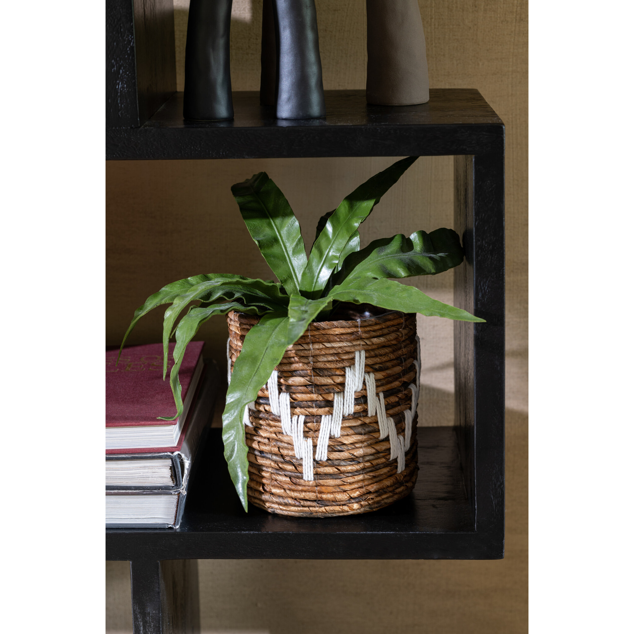 J-Line plante Langue De Belle-Mere - plastique - vert