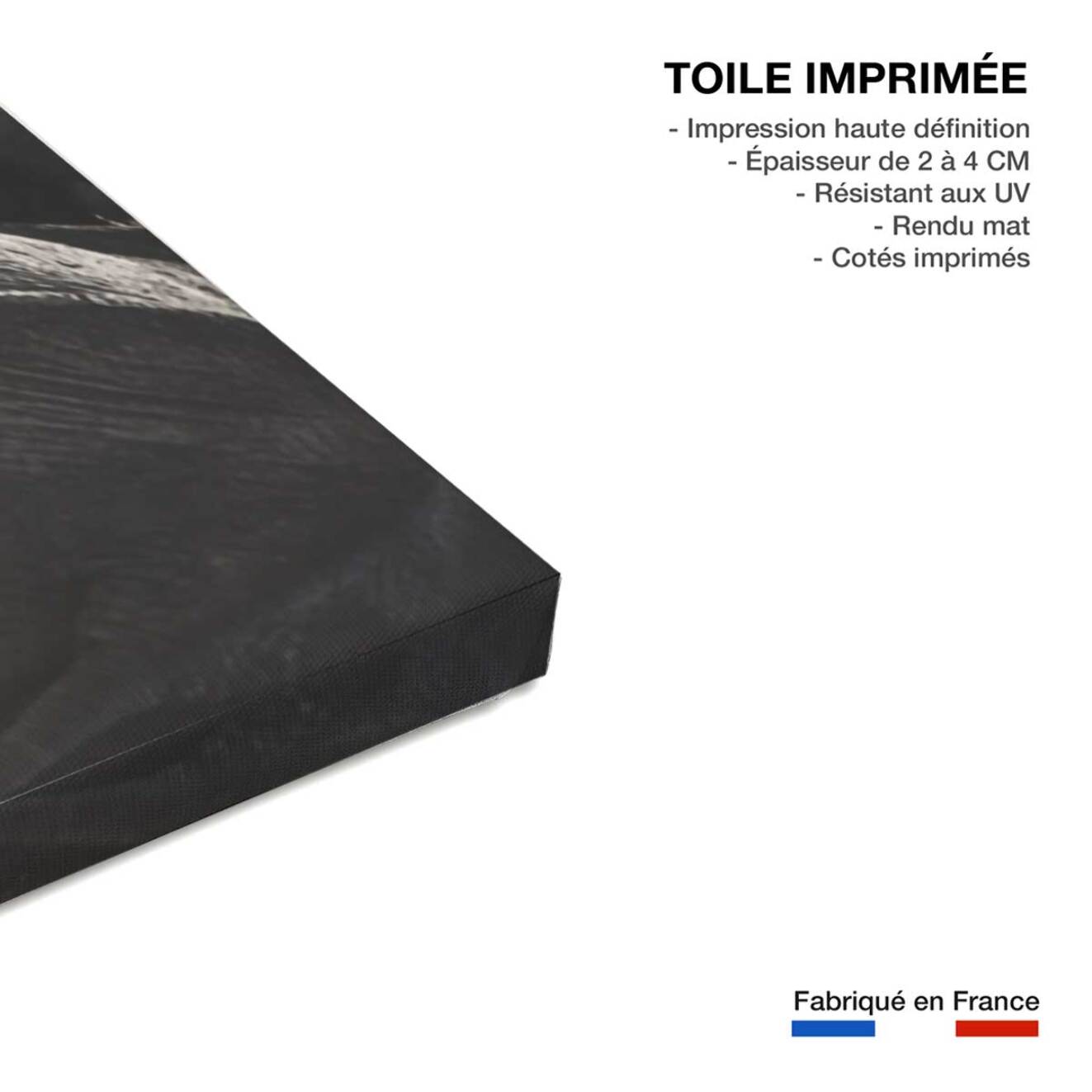 Tableau animaux cap Afrique Toile imprimée