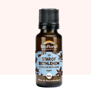 Biofloral - 29 Star of Bethlehem, Étoile de Bethléem - Bio - 19,5 gr