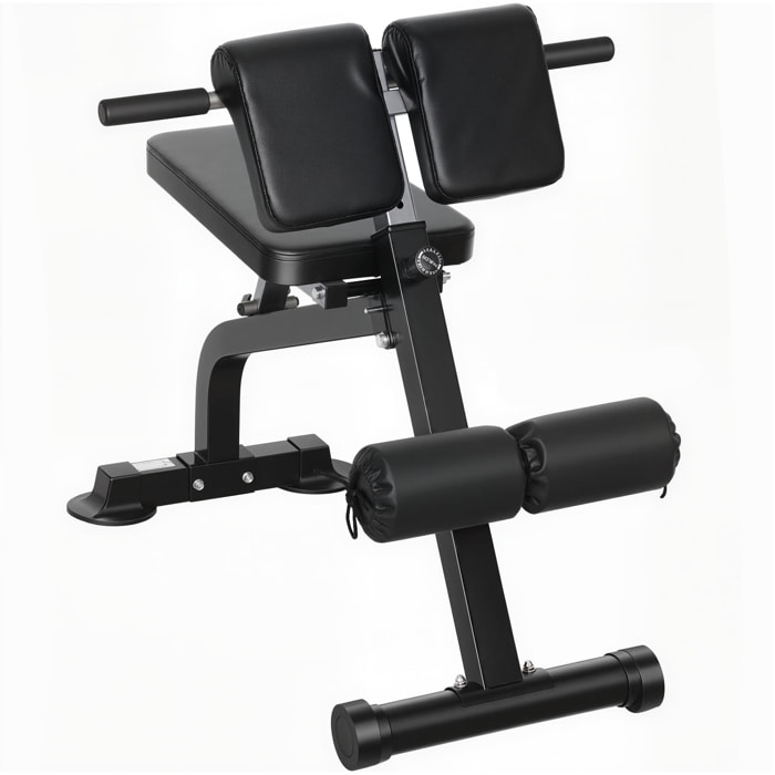 Banc de musculation pliable réglable - banc à abdominaux et lombaires - noir