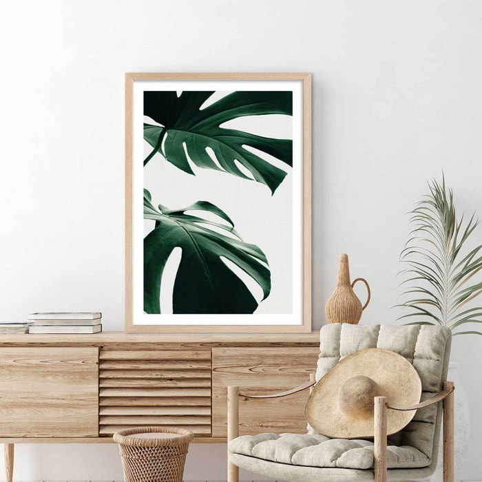 Affiche  monstera due Affiche + cadre en bois - Chêne