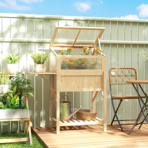Carré potager sur pieds avec serre en bois naturel