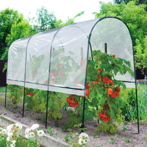 Serres à tomates 4m