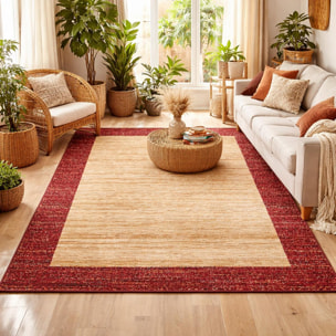 Tapis salon et chambre tissé motif simple TECU