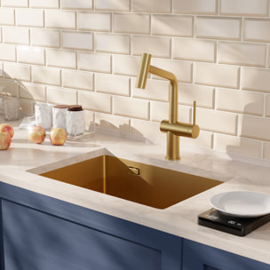 Timeless 55x45x21 cm évier sous plan en inox 304, 1 bac + mitigeur inox avec douchette extractible, or brossé (TMLKSU-5545BG-M1)