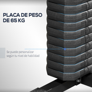 Multiestación de Musculación Máquina de Musculación con Placas de Peso de 65 kg Carga Max. 100 kg para Entrenamiento Fitness en Hogar Gimnasio Negro y Rojo