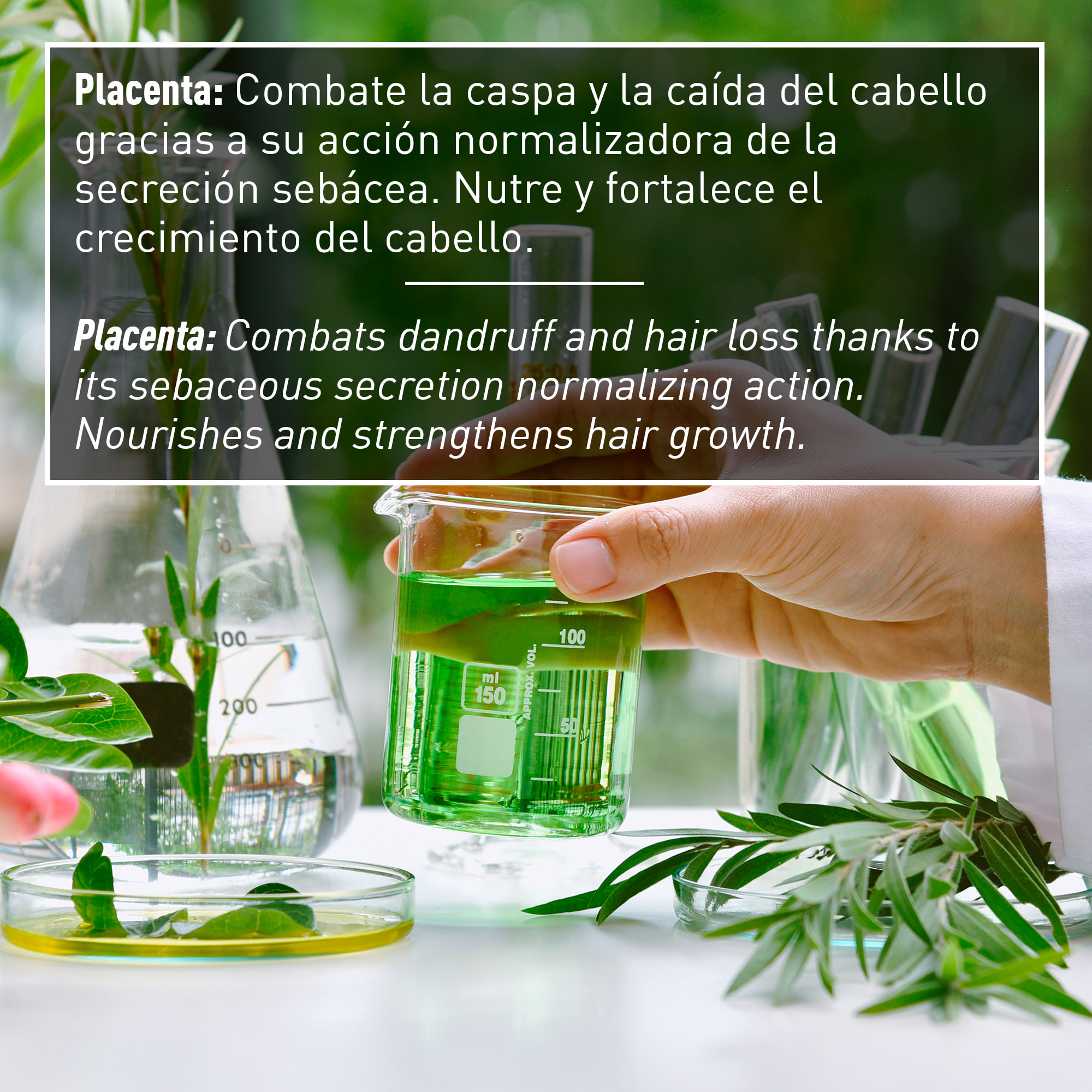 Valquer Loción Capilar de Placenta Vegetal - 12x15 ml