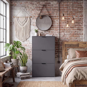 Zapatero de 3 puertas abatibles en gris grafito 60x113 cm Remi Gris Grafito