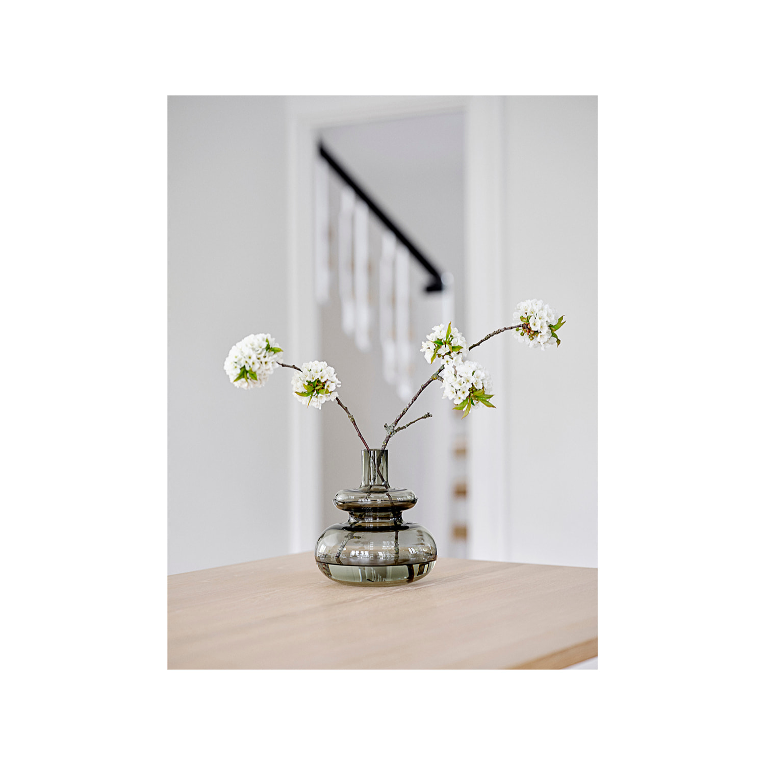 Vase Inu