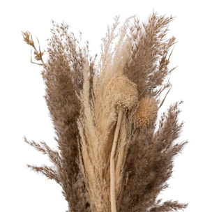 Bouquet de pampas séchées "Ori" blanc ivoire H58cm