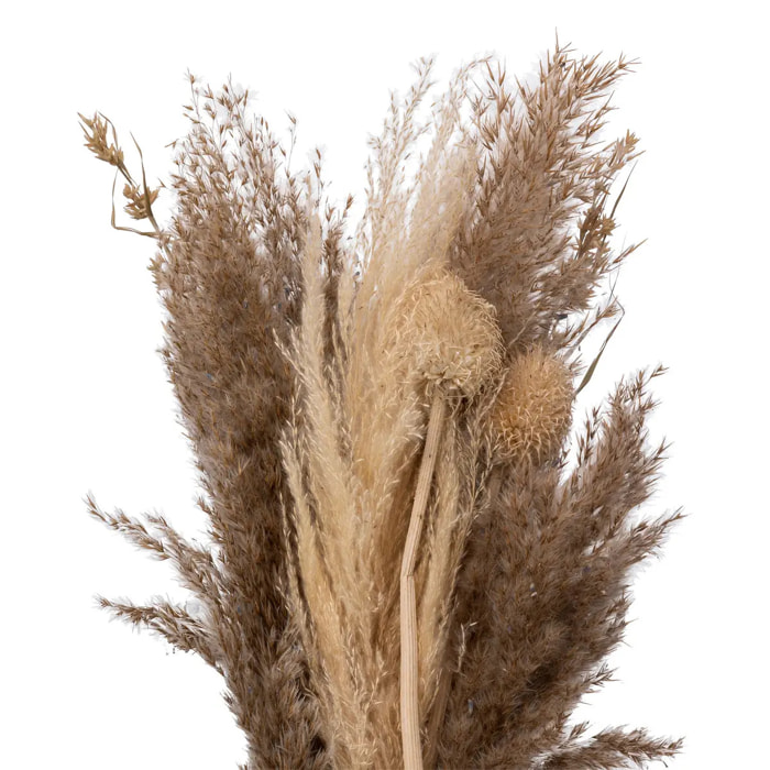 Bouquet de pampas séchées "Ori" blanc ivoire H58cm