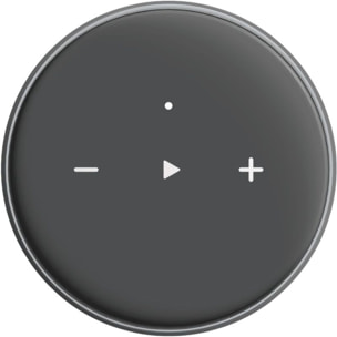 Lecteur réseau HiFi WIIM Mini