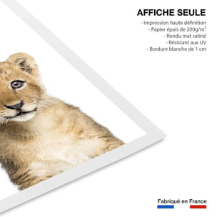 Affiche enfant bébé lionceau  Affiche seule