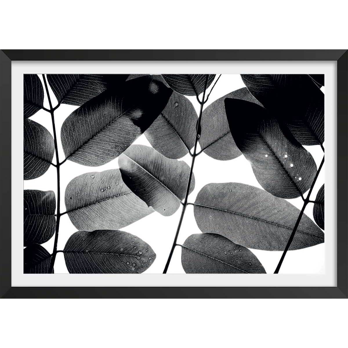 Affiche reproduction experiments with leaves i Affiche + cadre en bois - Noir