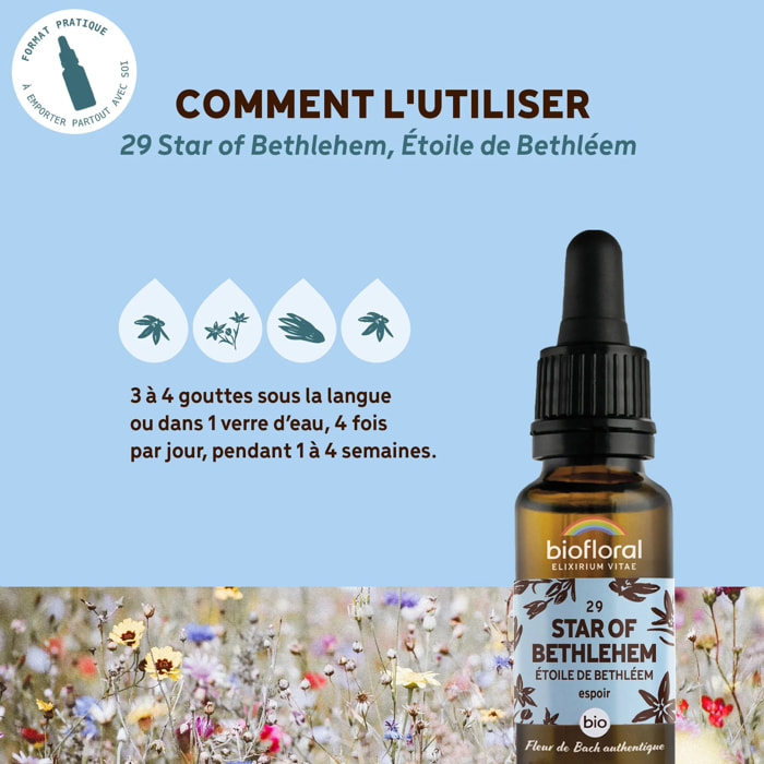 Biofloral - Fleur de Bach n°29 Star of Bethlehem, Étoile de Bethléem - Bio Demeter - 20 ml