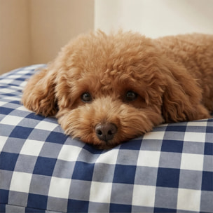 Housse antitaches pour lit pour animal Calafat Marine