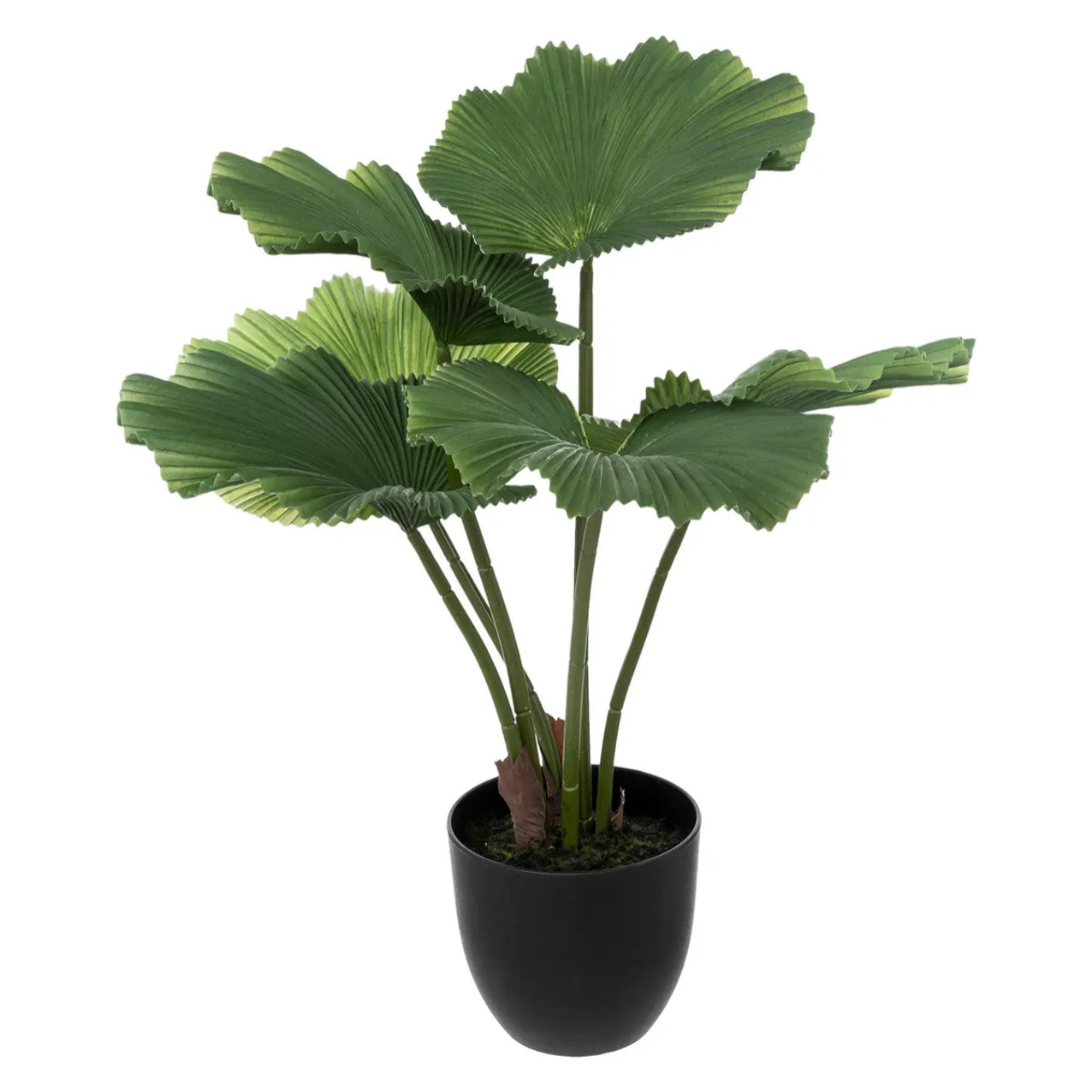 Palmier artificiel pot ciment H65cm