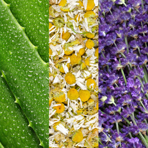 Facial Spray with Aloe, Chamomile & Lavender - Spray visage à l'aloe vera, a la camomille et à la lavande