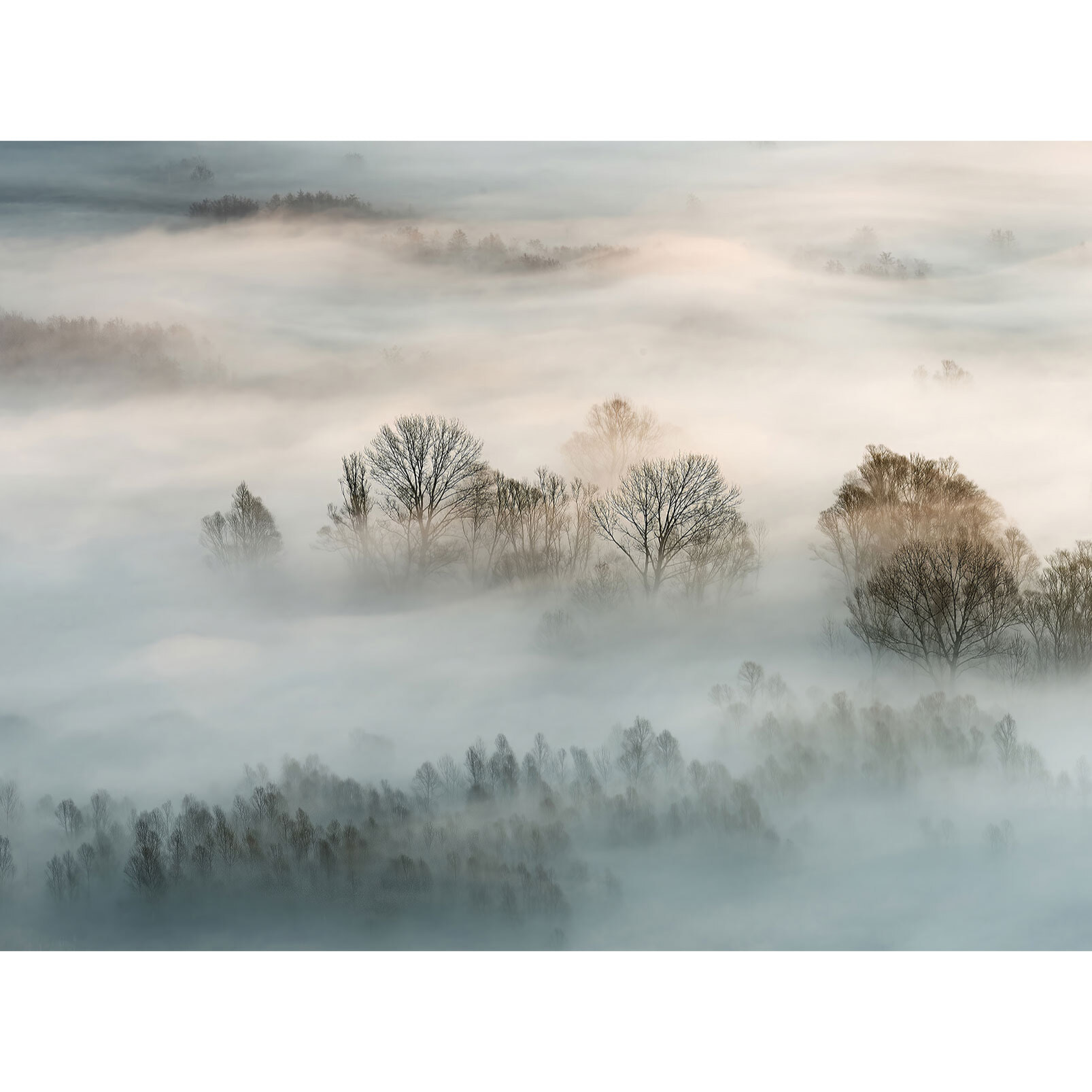 Papier peint panoramique la toscane sous la brume Intissé