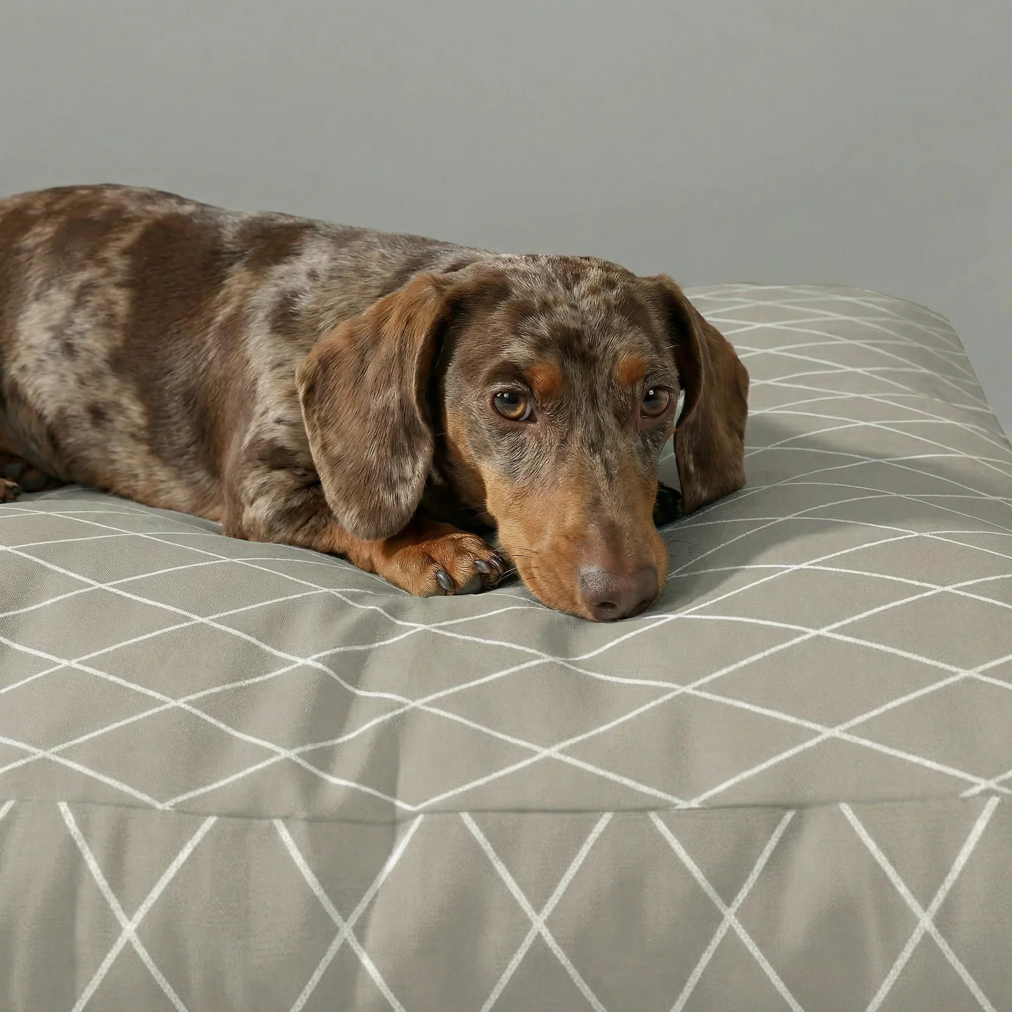 Lit épais et rembourré pour chiens et chats, 100 % coton anti-taches, pour animaux 0120-295