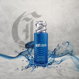 Vibrant Acqua - Brume Parfumée 250 ml