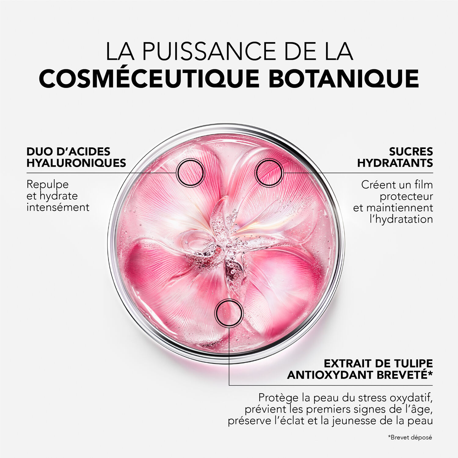 Glow Fresh - Le Masque Express Revitalisant 75ml