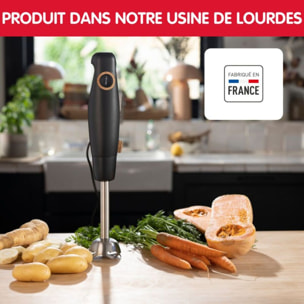Mixeur MOULINEX DD46E810 ECO RESPECT