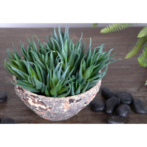 Echeveria Cactus. Altezza 12 Cm - Pezzi 12 - 10X12X8cm - Colore: Verde - Bianchi Dino - Piante Artificiali