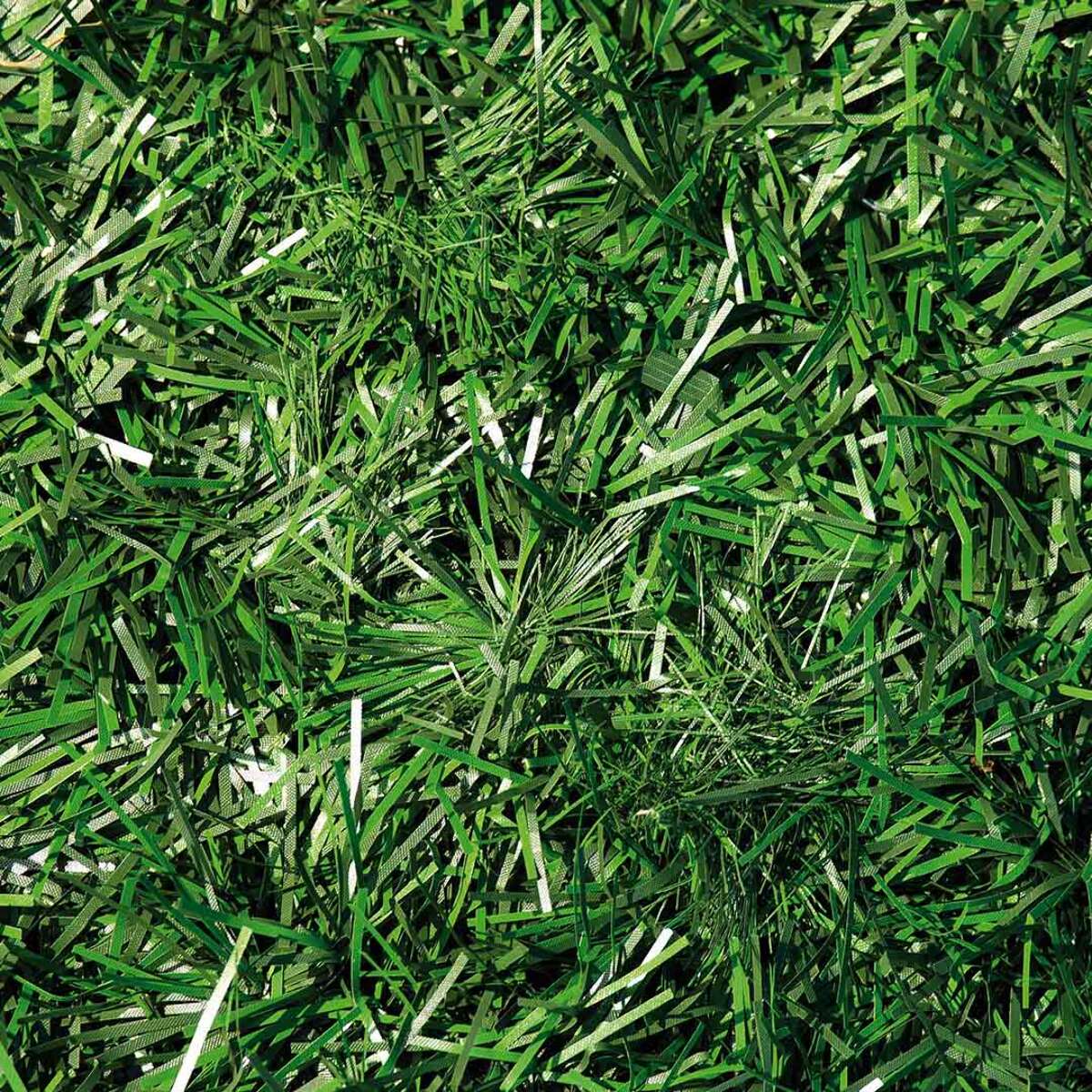 Seto Artificial Excel