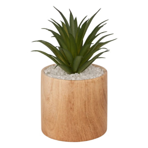 Plante artificielle "Sao" marron H17cm