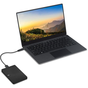 Disque dur externe SEAGATE 2To Expansion Portable Drive