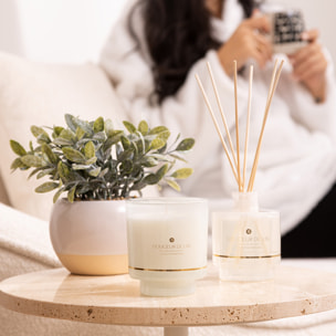 Bougie parfumée Ilae 225g pot verre lin