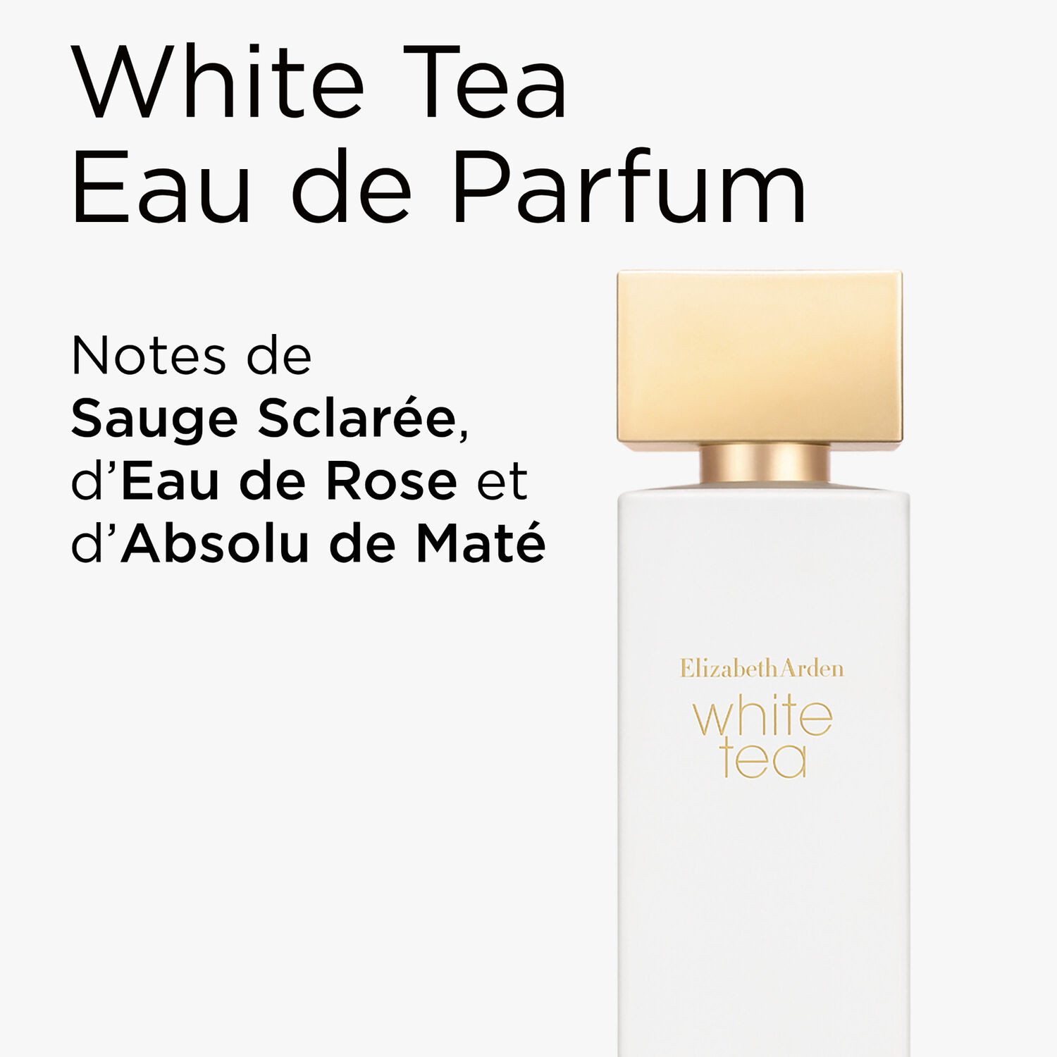 White Tea - Coffret Eau de Parfum 100ml et Crème Corps 100ml